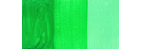 75ml Fluorescent Green 553 ++