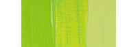 Yellow Green 617 1 LTR +++ SO