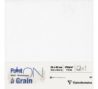 Χαρτί Mixed Media Paint`ON a Grain 50x65cm 250g Clairefontaine